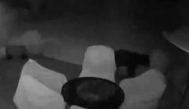 Bear spotted on security camera in Fayette County neighborhood
