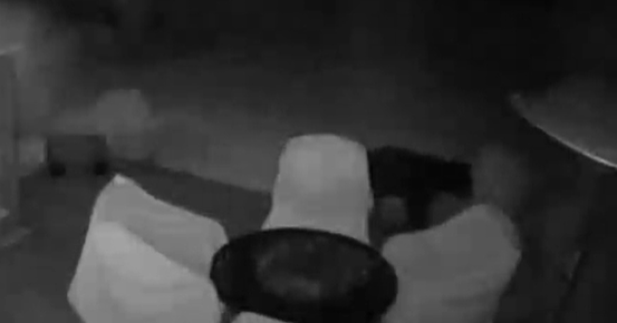 Bear spotted on security camera in Fayette County neighborhood
