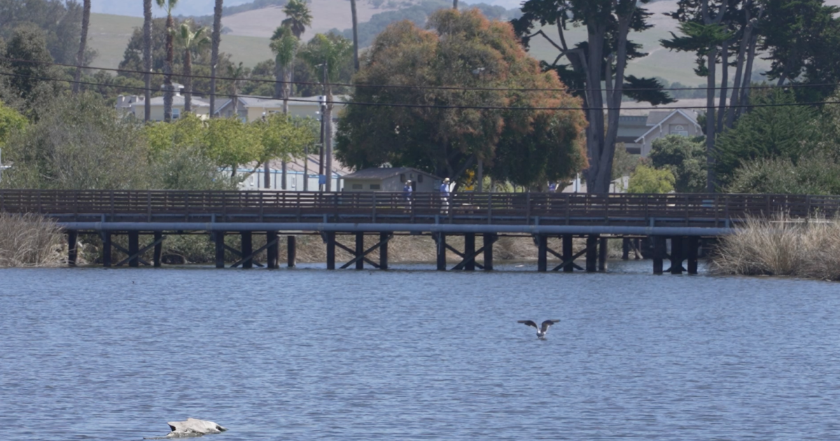 Surfrider Foundation testing finds human waste in Pismo Creek
