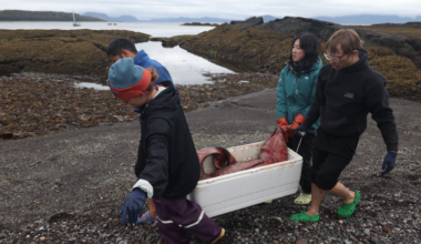 A dead deep-sea whale was found near Sitka, the second this month