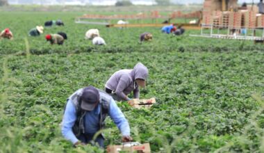 Republicans want changes to popular visa for farm laborers : NPR