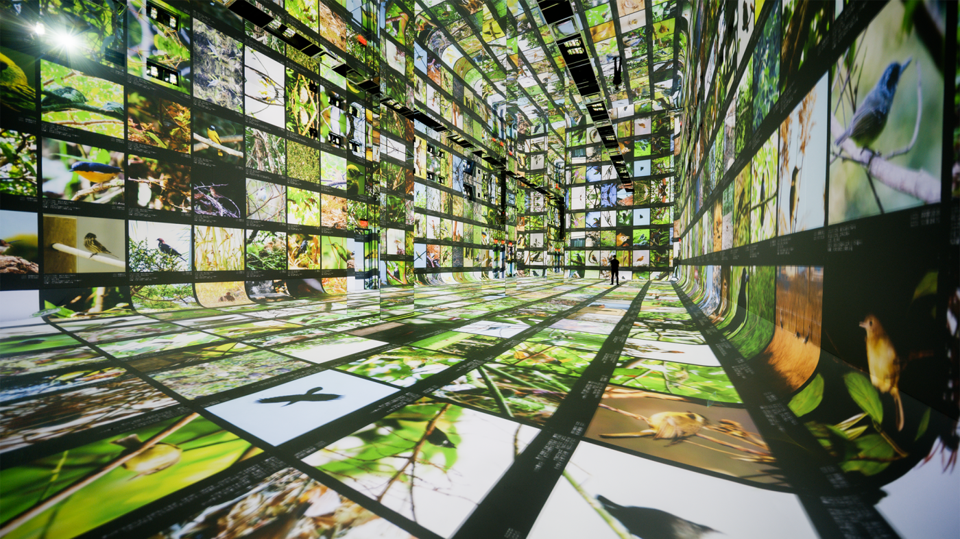 At the AI art museum Dataland, Refik Anadol says 'machines are collaborators' : NPR