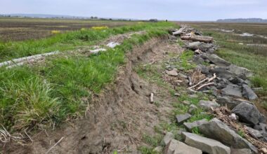Washington cities try to gird for coastal flooding as ‘super El Niño’ nears