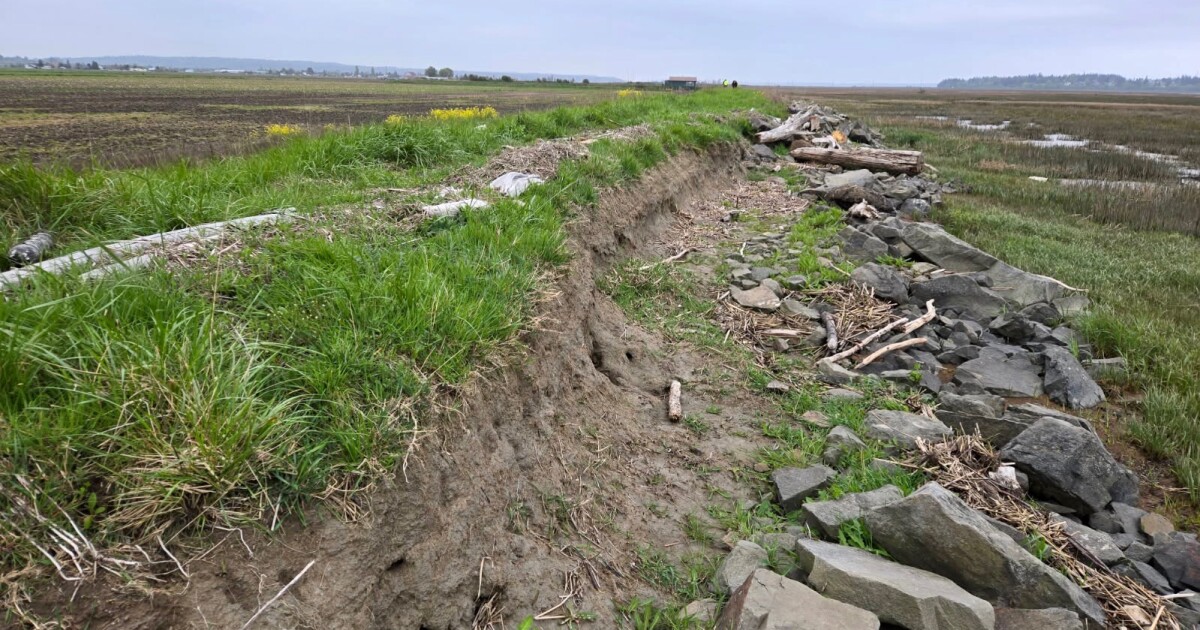 Washington cities try to gird for coastal flooding as ‘super El Niño’ nears