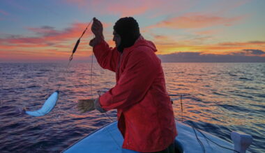 Climate change heats Mediterranean Sea, threatening biodiversity