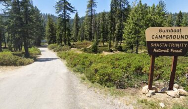 Forest Service workers taken hostage, held at gunpoint in NorCal, feds say