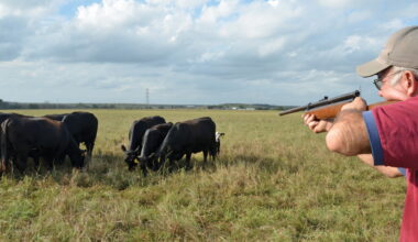 The Hidden Risks of Remote Drug Delivery in Cattle