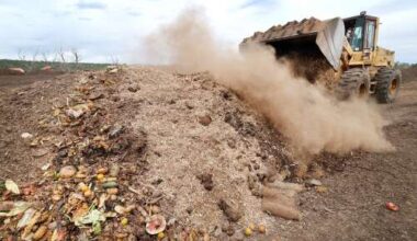 Mandatory composting in Durango? City Council will decide this fall