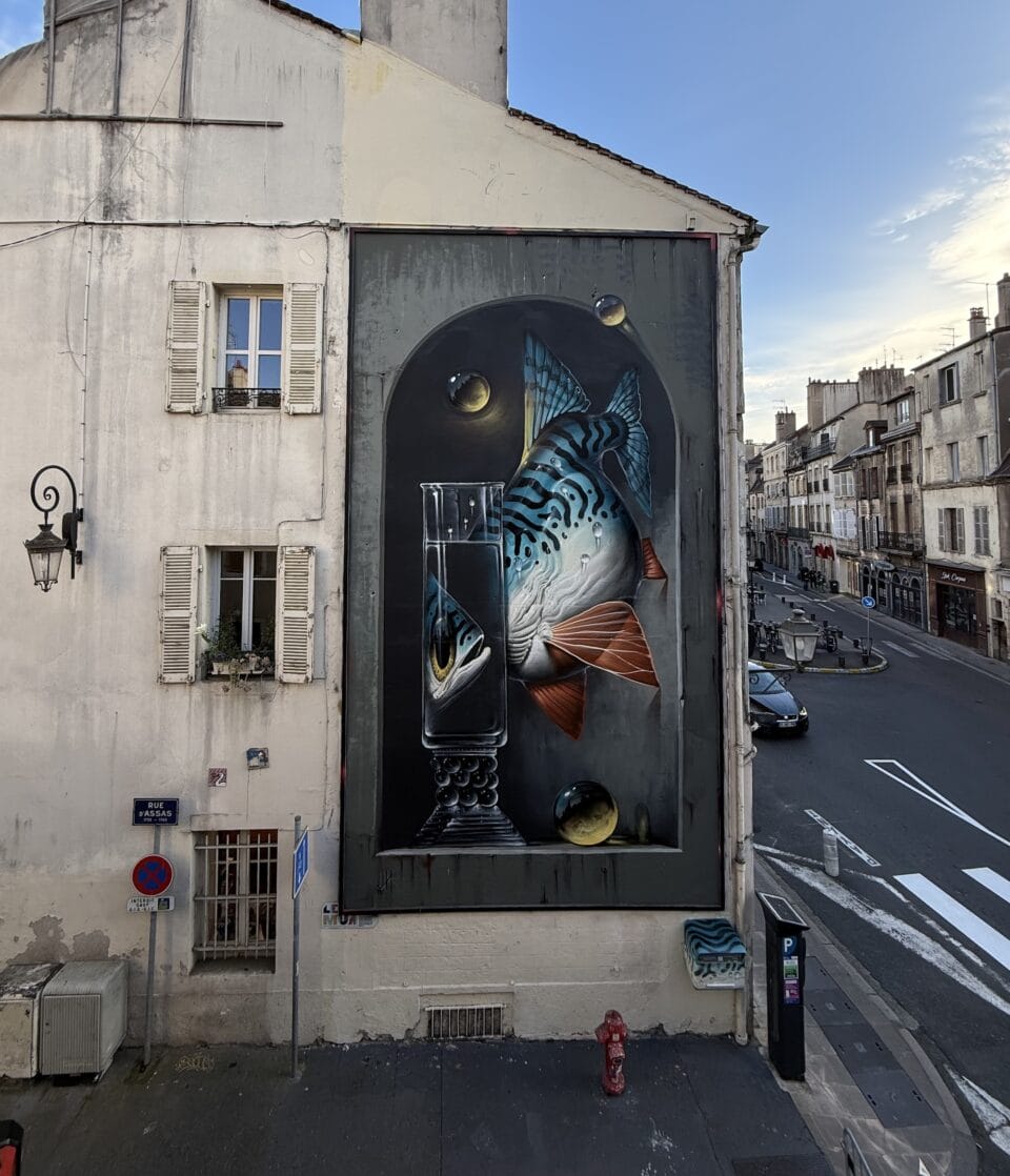 a large mural of a fish in an architectural niche, looking through a glass with its face reflected backwards