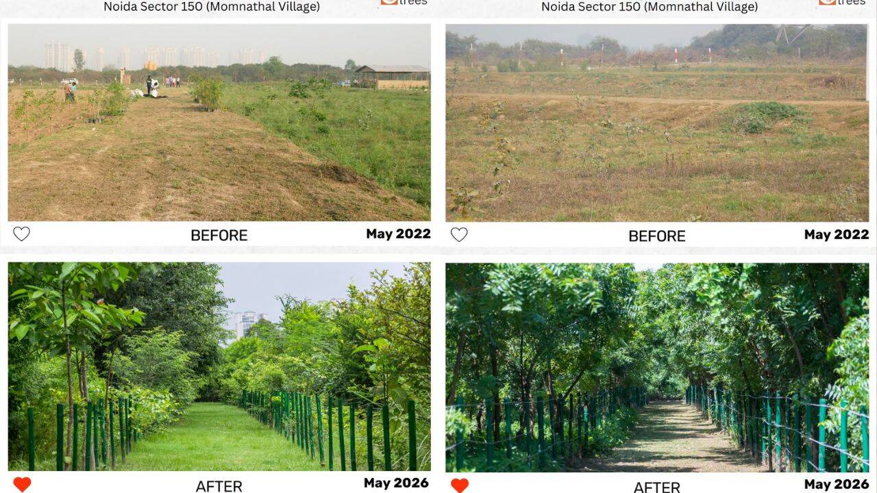 Visible land transformation in Noida due to forestation (Facebook) Visible land transformation in Noida due to forestation