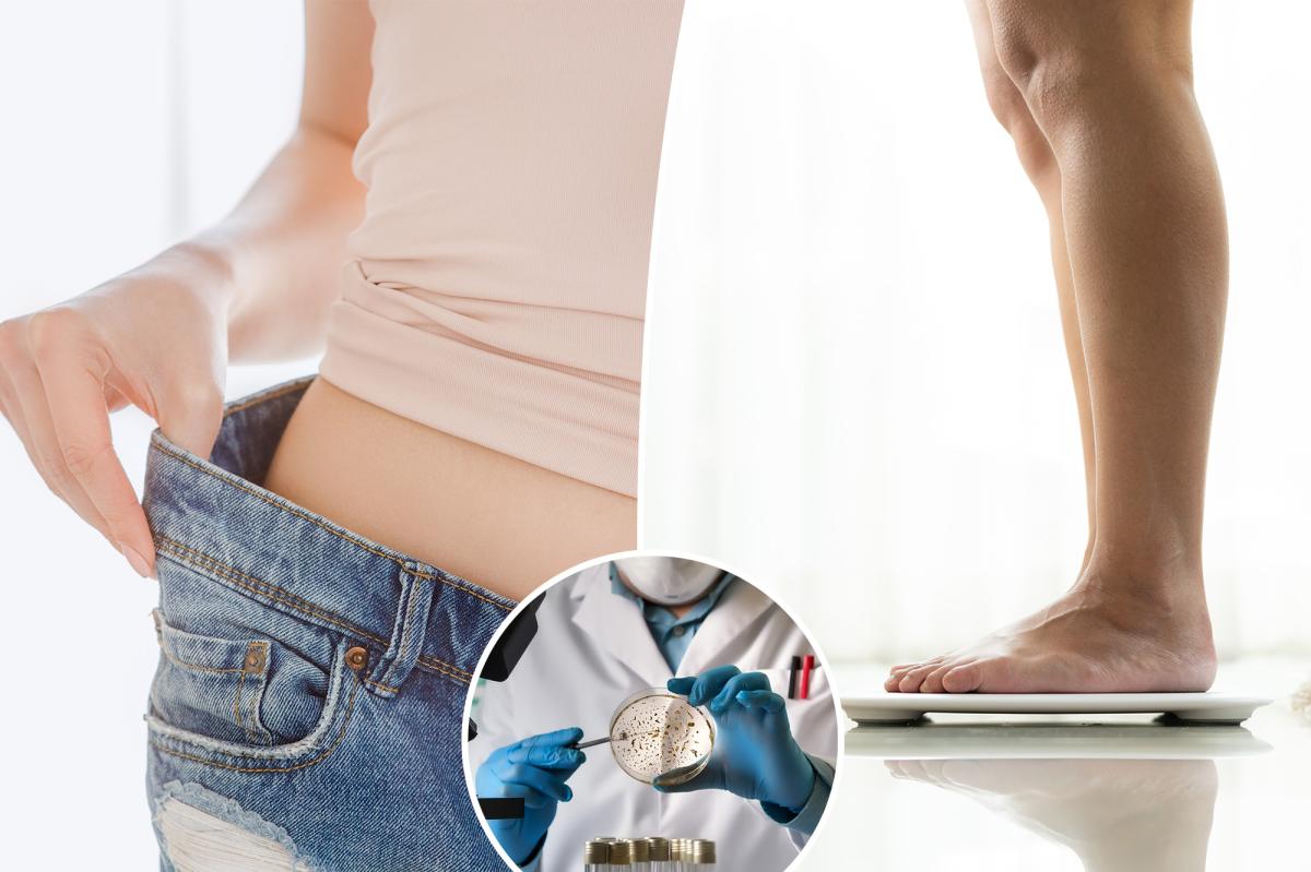 'Mitch' protein that could change the future of weight loss and fat burning