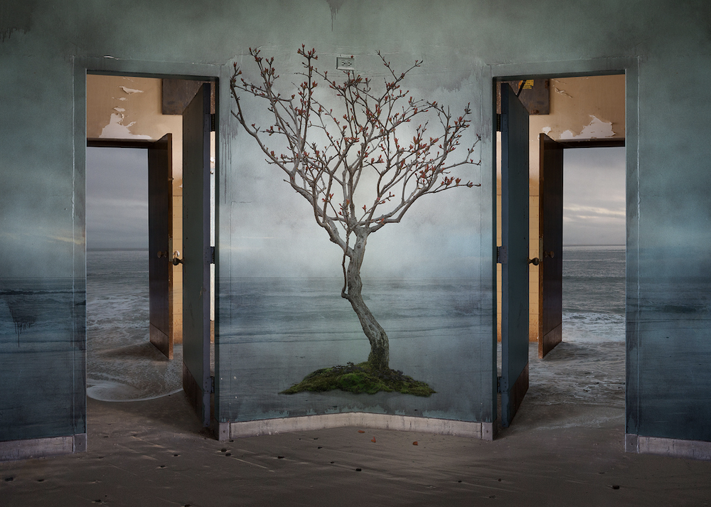 Two open doorways frame a bare tree against a textured wall of sky and water. © Ann Mitchell.