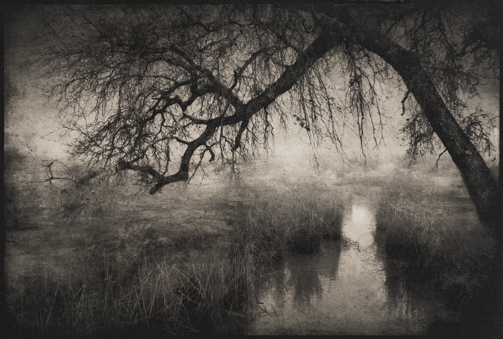 A misty black-and-white landscape with overhanging branches and a pale figure near water, © Ann Mitchell.