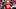 Nebraska quarterback Anthony Colandrea tossed 29 interceptions in 33 games before he arrived in Lincoln. Nebraska quarterback Anthony Colandrea tossed 29 interceptions in 33 games before he arrived in Lincoln.