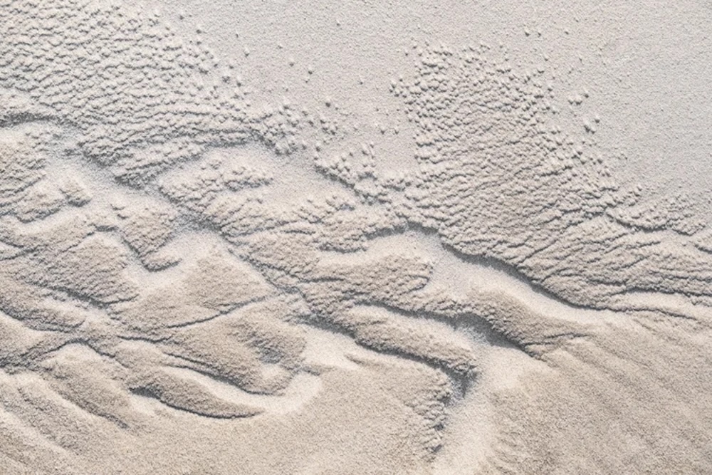 Branching ridges and clusters of small raised dots create an intricate, map-like pattern in pale sand. ©CynthiaGladis
