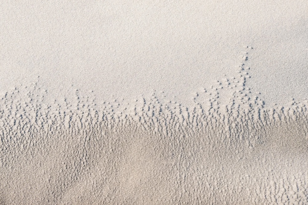 Tiny dark fragments and repeating ripples trace a delicate, wave-like line across pale sand. ©CynthiaGladis