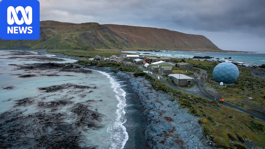Australia to withdraw staff from Macquarie Island due to 'psychological risk' of bird flu