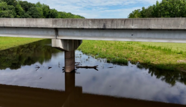 As Raleigh lifts water restrictions, drought measures linger in Durham, Chatham counties :: WRAL.com