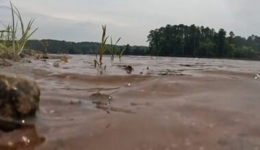 NC teen has rare brain infection likely caused by swimming. Where did exposure happen? Are you safe? :: WRAL.com