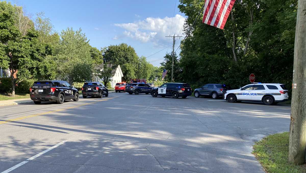 Heavy police presence seen near Hollis Town Hall