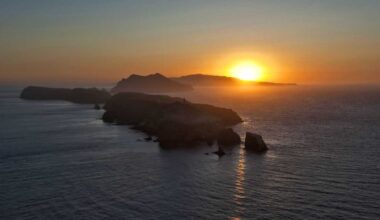 New species with 'tadpole'-like tentacles discovered off Central Calif. coast