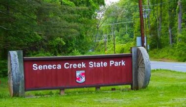 DNR investigates beaver attack at Seneca Creek State Park