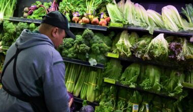 Lettuce prices see record-setting plunge amid cyclospora outbreak