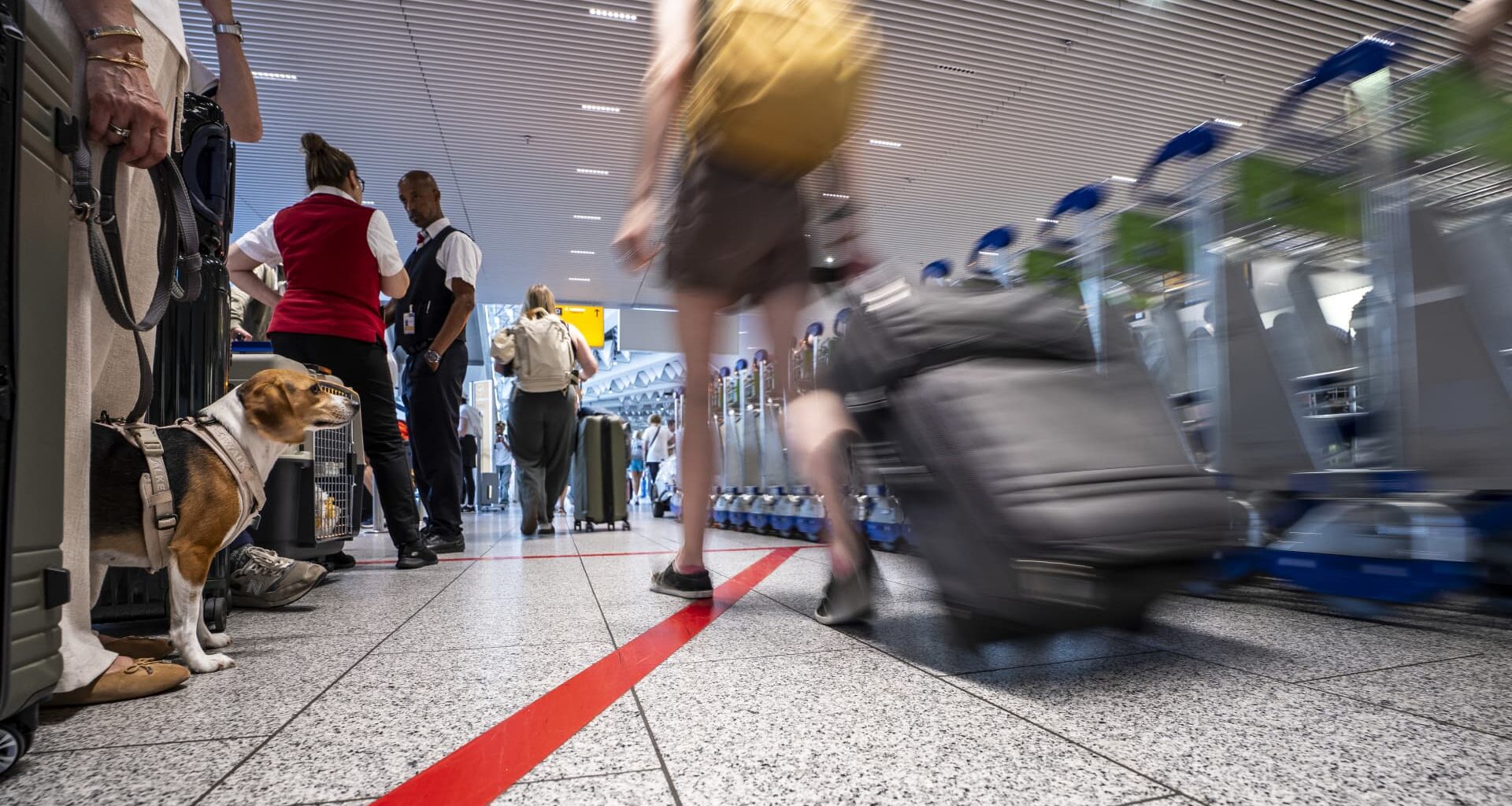 Americans have continued traveling despite higher prices this year