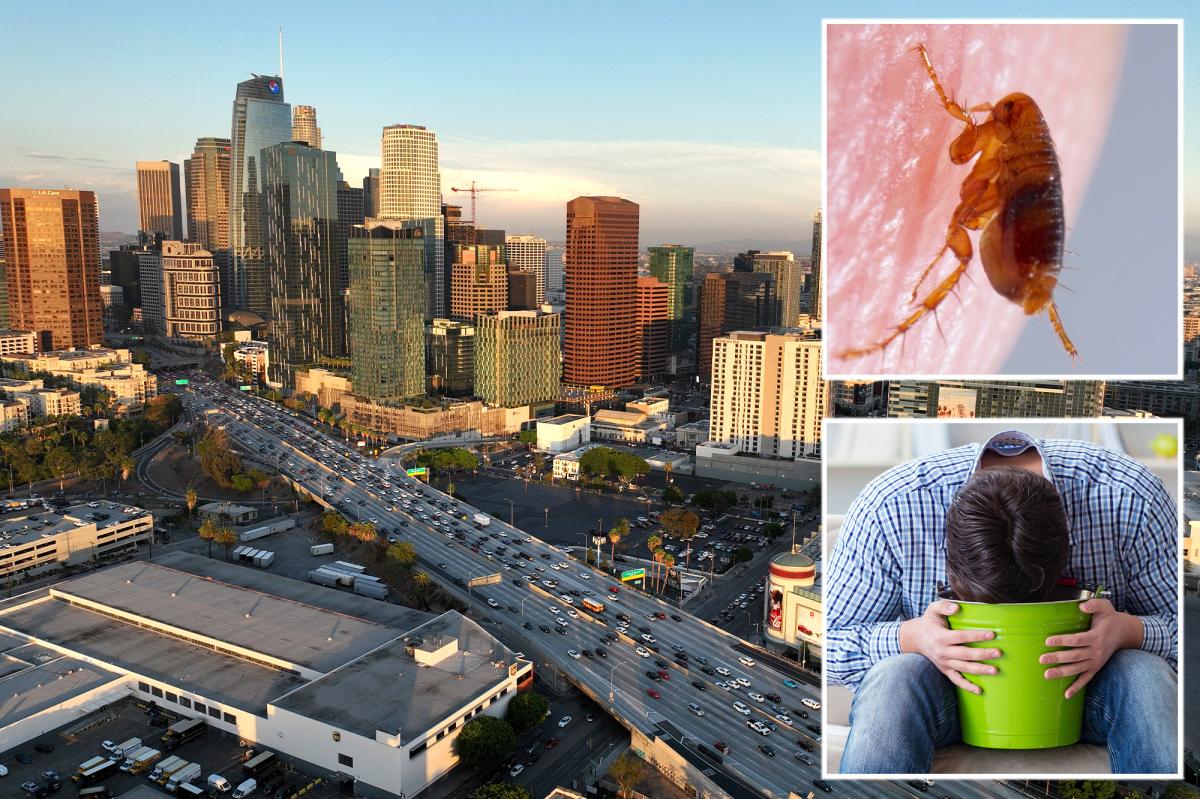 LA flea-borne Typhus outbreak under Investigation