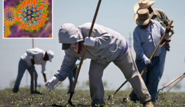 Mass measles outbreak threatens Central Valley after farmworkers left Arizona