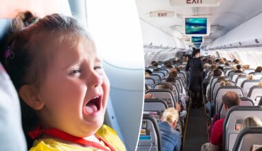 Flight canceled after toddler refused to buckle seatbelt