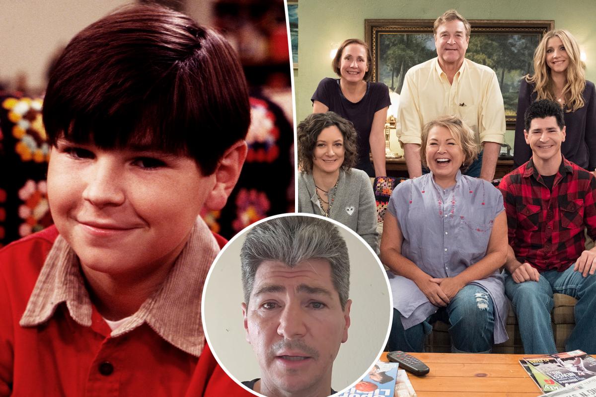 'Roseanne' star defends sitcom' axing over comedian's tweets