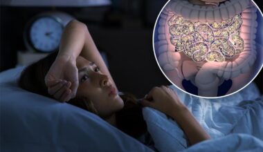 Poop transplants could help insomniacs sleep better