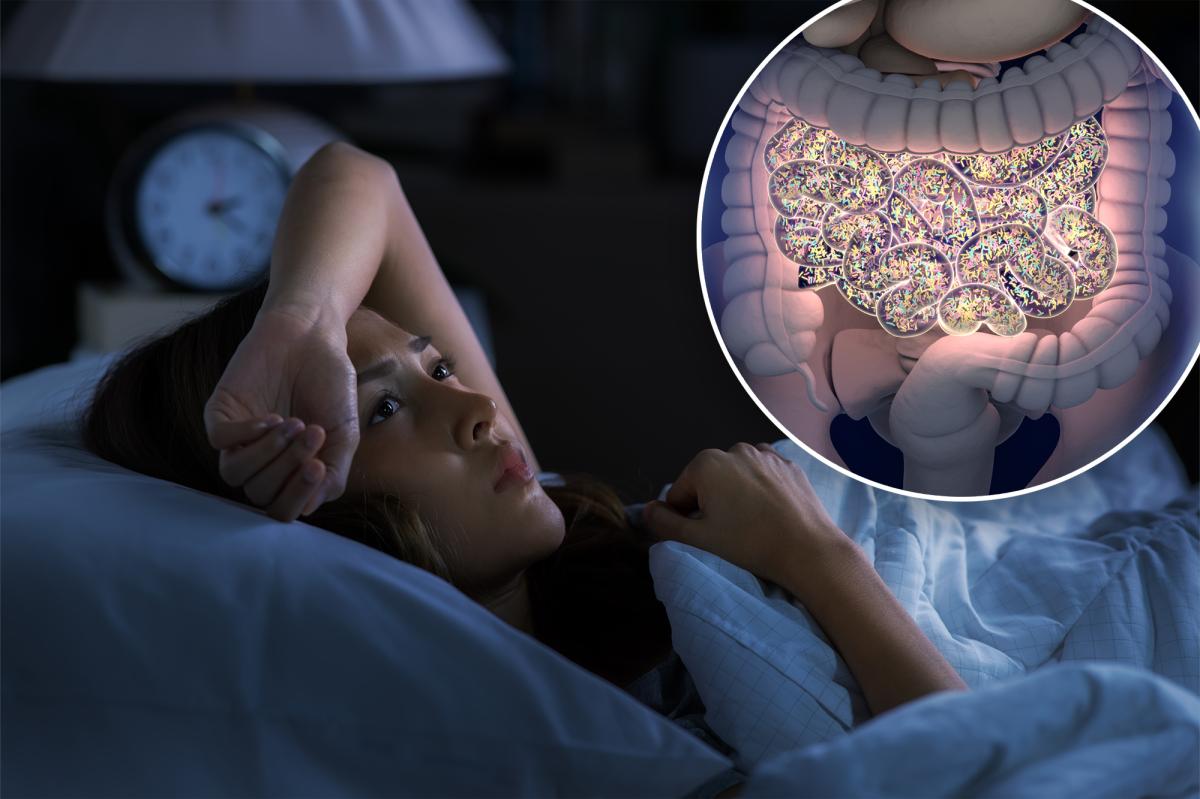 Poop transplants could help insomniacs sleep better