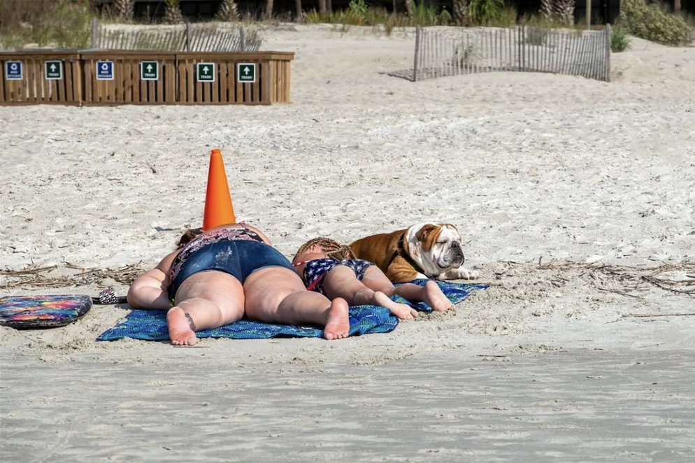 An adult and child lie face-down on beach towels beside a seated bulldog, with a bright orange traffic cone directly behind them. ©CynthiaGladis