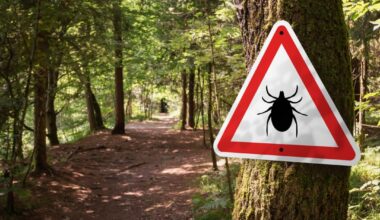 Across the US, 'the Ticks Are Winning'