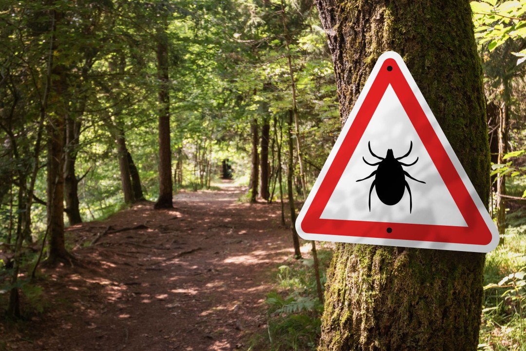 Across the US, 'the Ticks Are Winning'
