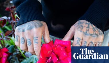 Stars, trees, mountains: Santa Rosa outdoor youth program is using nature to combat gun violence | US news