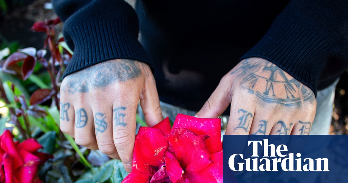 Stars, trees, mountains: Santa Rosa outdoor youth program is using nature to combat gun violence | US news