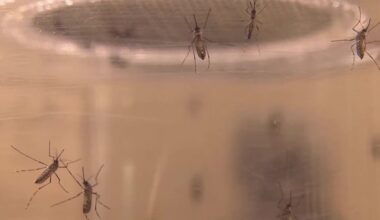 Kansas health officials warn of high West Nile virus risk statewide