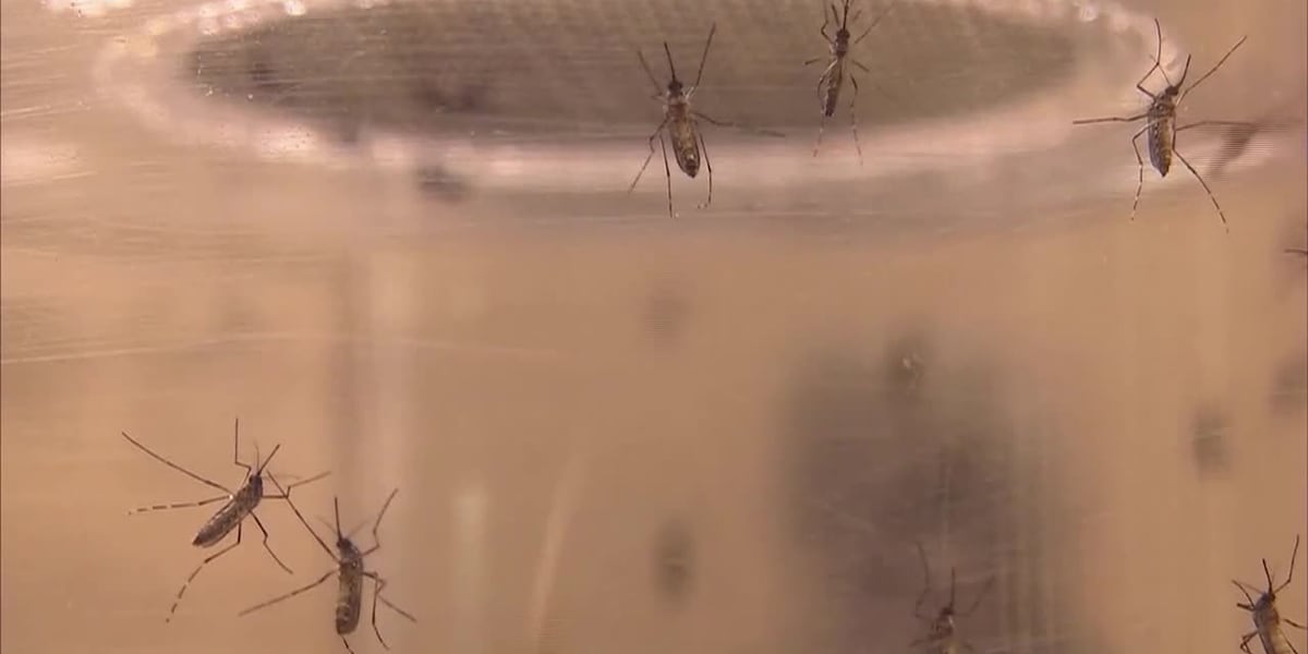 Kansas health officials warn of high West Nile virus risk statewide