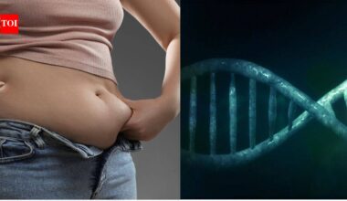 This one protein prevents muscle from turning to fats |