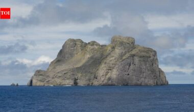 Colombia intercepted a boat near the Malpelo sanctuary carrying 1,764 pounds of marine animals; officials are investigating illegal fishing
