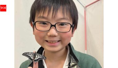 Meet Jo Nagai: 10-year-old Japanese student who discovered butterflies can remember their time as caterpillars after he noticed that the caterpillars he had raised to recognise him after turning into butterflies | World News