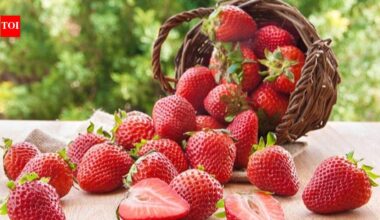 Strawberry Benefits: Ariana Grande's love for strawberries: What this fruit actually does for your heart, skin, and immunity