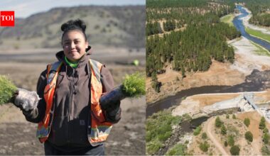 After America's largest dam removal, the Yurok Tribe is bringing an entire river back to life by planting millions of native seeds |