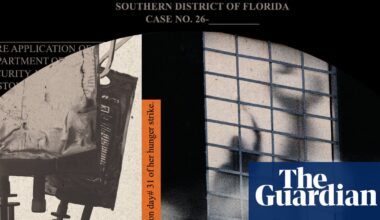 ‘What they’re doing qualifies as torture’: new details of ICE force-feeding revealed | US immigration