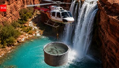 Beginning in 2003, Arizona biologists flew endangered humpback chub in a 55-gallon drum beneath a helicopter, moving them above a waterfall to warmer habitat beyond non-native trout | World News