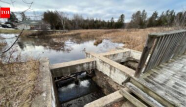 Michigan plans to remove the century-old Sanback Dam in 2026, reopening a half-mile of cold-water stream, restoring 14 wetland acres and protecting more than 70 downstream miles