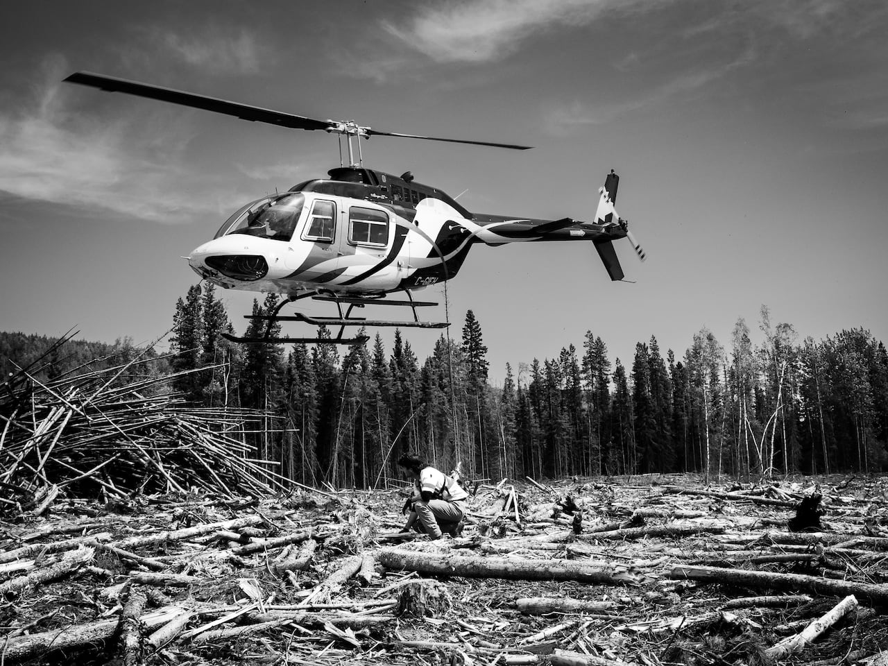 A man kneels among fallen trees while a helicopter hovers above him.